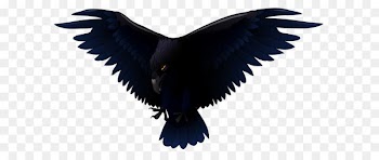 Common raven Bird Euclidean vector Clip art - Scary Raven PNG Vector Clipart 