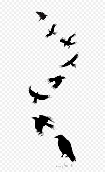 Common raven Bird Tattoo Drawing Flight - Ink Crow 