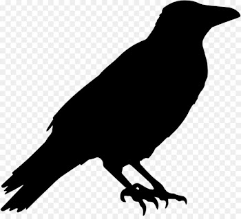 Common raven Crow Halloween Clip art - raven 