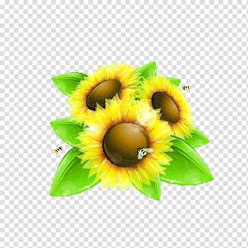 Common sunflower Bee , sunflower transparent background PNG clipart