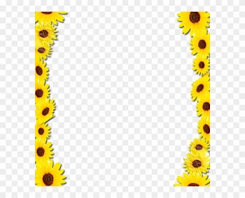 Common Sunflower Borders And Frames Picture Frames - Yellow Flowers Frame Png
