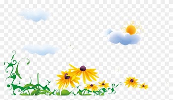 Common Sunflower Euclidean Vector - Common Sunflower Euclidean Vector