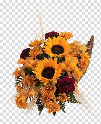 Common sunflower Floral design Cut flowers Transvaal daisy, autumn harvest transparent background PNG clipart