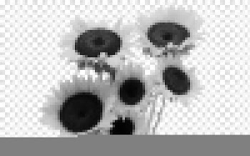 Common sunflower Flower bouquet Vase, sunflower transparent background PNG clipart