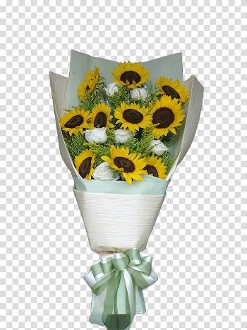 Common sunflower Flower bouquet White, Sunflower bouquet of white roses transparent background PNG clipart