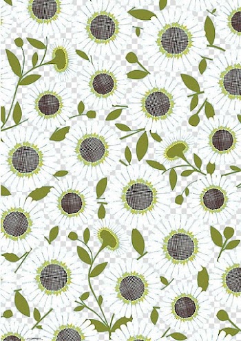 Common sunflower , Green flower background transparent background PNG clipart