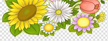 Common sunflower Greeting card, sunflower transparent background PNG clipart