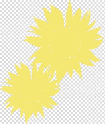 Common sunflower Petal, Sunflower transparent background PNG clipart