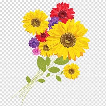 Common sunflower Red sunflower CorelDRAW, Sunflower Color transparent background PNG clipart
