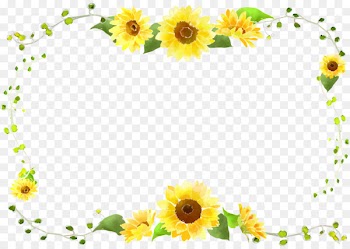 Common sunflower - Sunflower border curve decorative foliage 