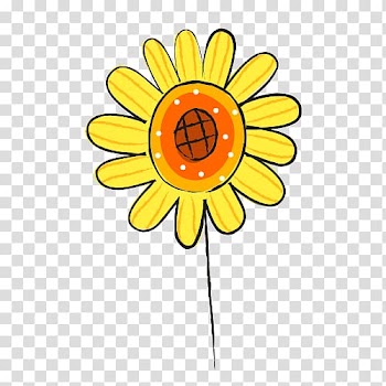 Common sunflower , Sunflower transparent background PNG clipart