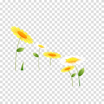 Common sunflower , sunflower transparent background PNG clipart