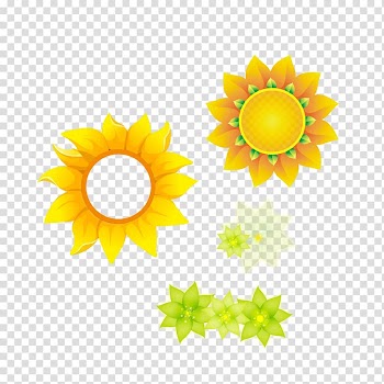 Common sunflower , Sunflower transparent background PNG clipart
