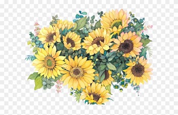 Common Sunflower Watercolor Painting Illustration - Sunflower Watercolor Png