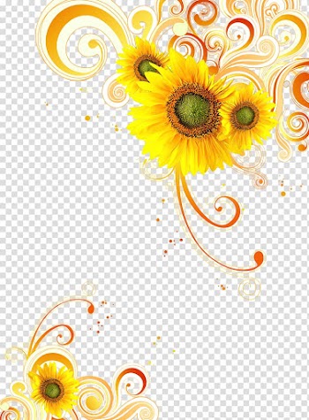 Common sunflower Yellow, Yellow abstract plant transparent background PNG clipart