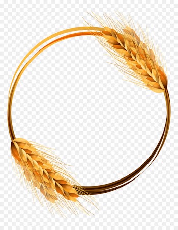 Common wheat Ear Crop - Golden wheat ring vector material 