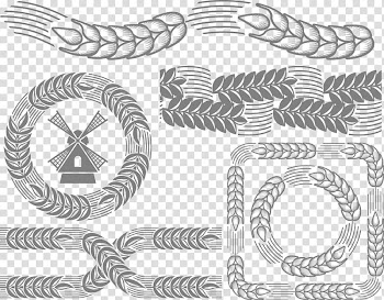 Common wheat Ear Illustration, flower frame transparent background PNG clipart
