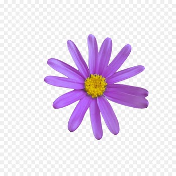 Communication Web page Business Emoji Meaning - flower corel 
