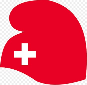Communist Party of Switzerland Swiss Party of Labour Communism Political party - switzerland 