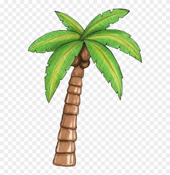 Como Ia Viajar Em Dezembro E Não Teria A Confraternização - Moana Palm Tree