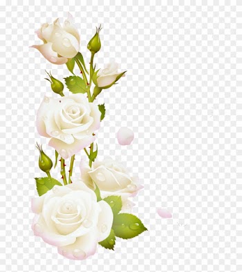 Como La Miel De Abejasmil Flores - White Rose Frame Png