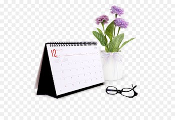 Company Association of Chartered Certified Accountants Audit - Calendar 