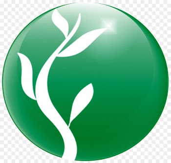 Company, Organization, Agroplanufv, Green, Logo PNG
