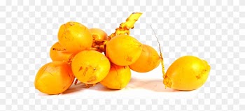 Compared With Varieties Of Aerated Water That Are Usually - Yellow Coconut Water