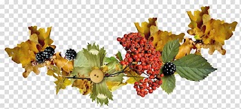 Composition , autumn transparent background PNG clipart
