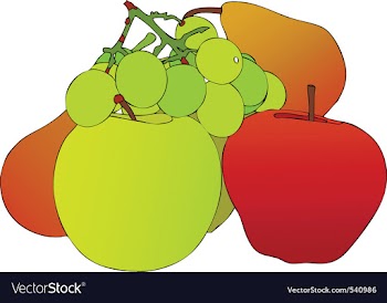 Composition fruitful vector image