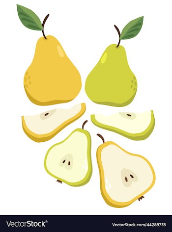 composition of green and yellow pears isolated on