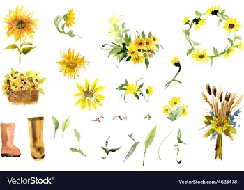 Composition of yellow sunflower vector image