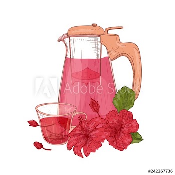Composition with hibiscus tea in glass jug, cup, roselle flowers and leaves isolated on white background