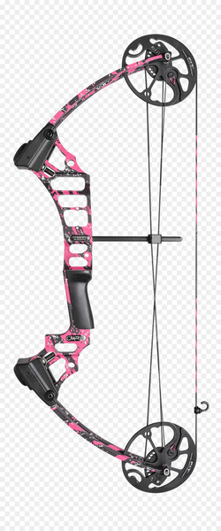 Compound Bows Archery Bow and arrow Bowhunting -  