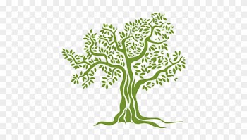Comprar Aceite De Oliva Ecologico - Illustration Of A Tree