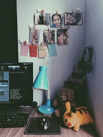 Computer Desktop Set With Plush Toys and Clip Photos