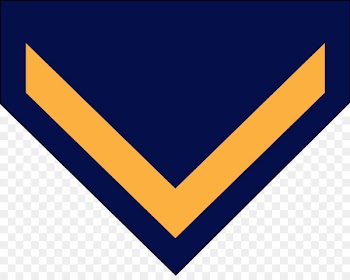 Computer file Airman first class Seaman Air force Image - bangladesh insignia 