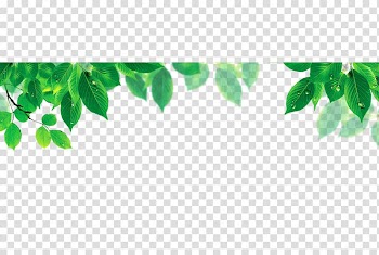 Computer file, Leaf shading transparent background PNG clipart