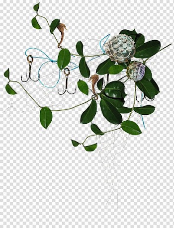 Computer file, Leaves transparent background PNG clipart