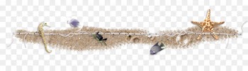 Computer file - Sand crab hippocampus 