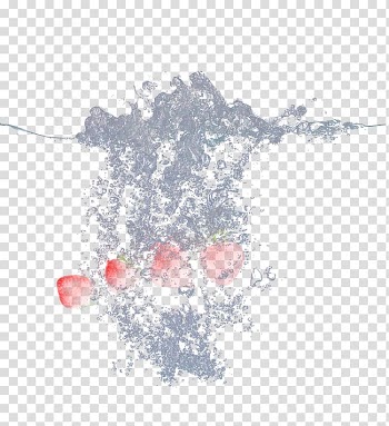 Computer , Fruit in water transparent background PNG clipart