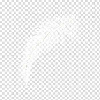 Computer graphics, White Feather transparent background PNG clipart
