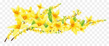 Computer Icons Adobe Illustrator Flower - Vector floral flowers 