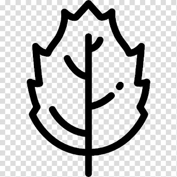 Computer Icons Autumn Leaf , autumn transparent background PNG clipart