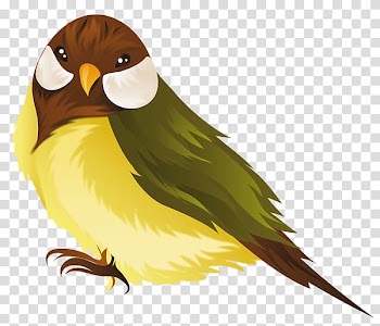 Computer Icons Autumn , parrot illustration transparent background PNG clipart