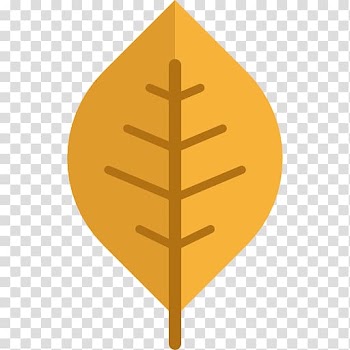 Computer Icons Autumn Symbol, adornment transparent background PNG clipart