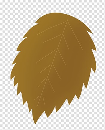 Computer Icons Christmas Autumn leaf color , rose border decoration transparent background PNG clipart