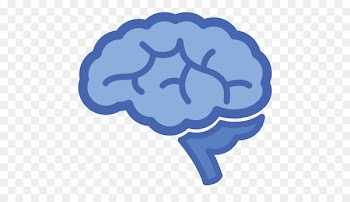 Computer Icons Clip art Human brain - tyler pictogram 