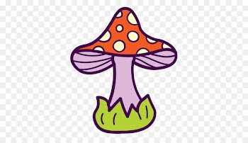 Computer Icons Clip art Portable Network Graphics Apple Icon Image format - boletus icon 