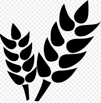 Computer Icons Computer Software - Agri png download - 980*986 ...